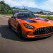 forzahorizon64